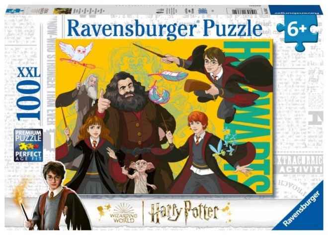 Puzzle Harry Potter giovane mago 100 pezzi