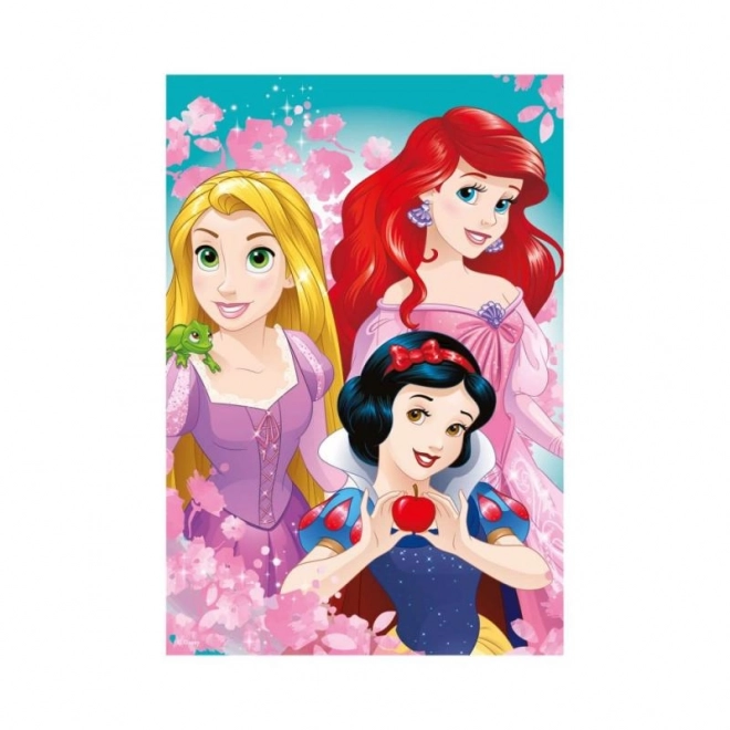 Puzzle Principesse 24 pezzi