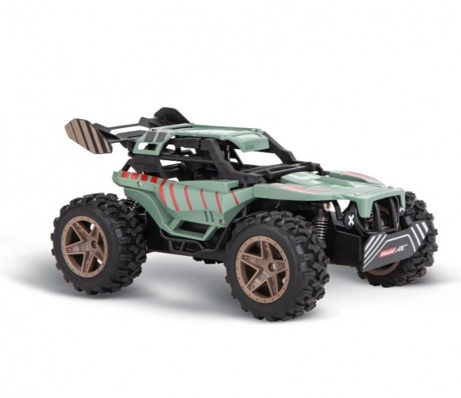 Auto RC Corsa da Montagna