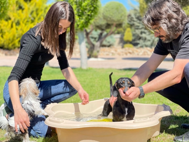 Piscina per animali Loboo Classica