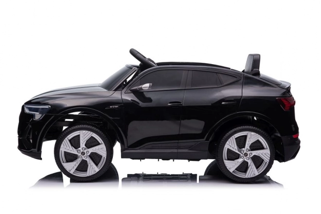 Audi E-Tron Batteria Nera QLS-6688