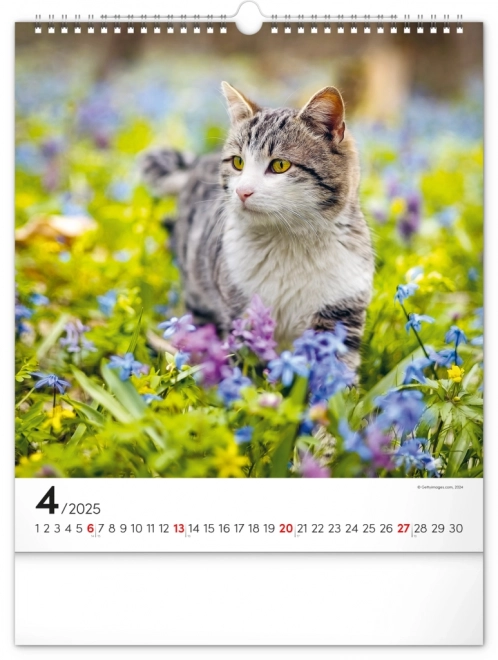 Calendario da parete Gatti 2025