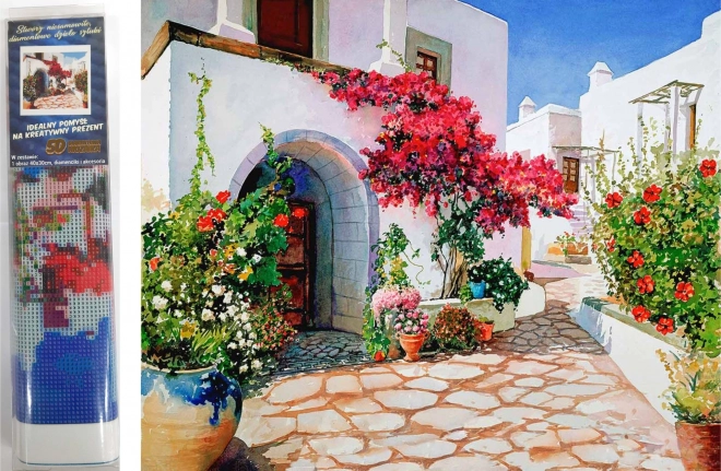 Pittura di diamante Stradina fiorita 30x40 cm
