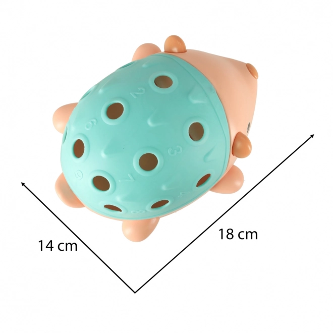 Jeżino educativo montessori con spine colorate