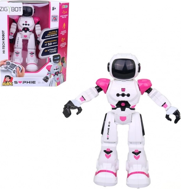 Sophie compagna robotica MaDe