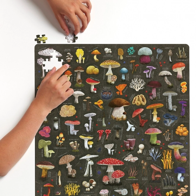 Puzzle Puzzlove Funghi 500 Pezzi