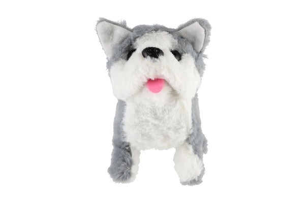 Cane interattivo peluche 18 cm a batteria