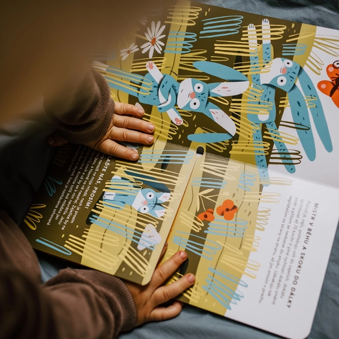 Ababu Libro a fisarmonica Ababūk