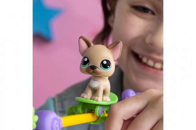 Littlest Pet Shop - Set da gioco Gli animali hanno talento