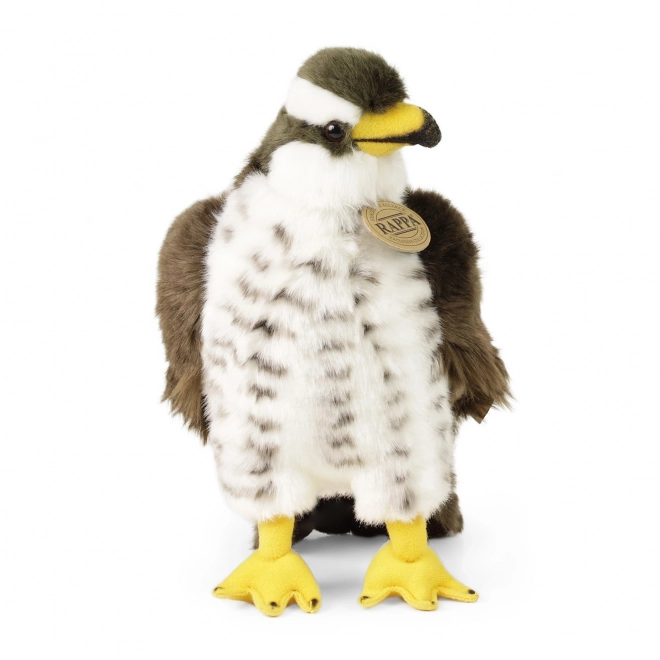 Falco di peluche eco-friendly 23 cm