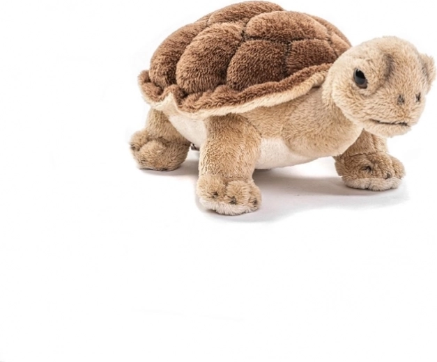 Design sicuro per bambini da 0 anni