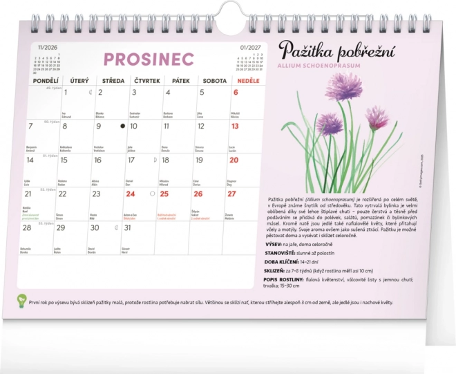 Calendario pianificatore mensile con semi Notique 2026