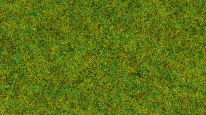 Noch erba statica prato primaverile 2,5 mm