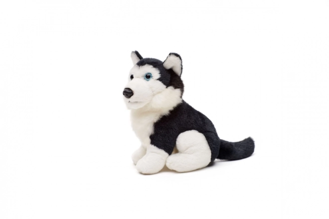 Husky di peluche 15 cm