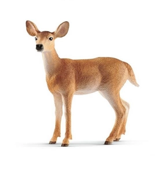 Schleich Wild Life Cerva di Coda Bianca