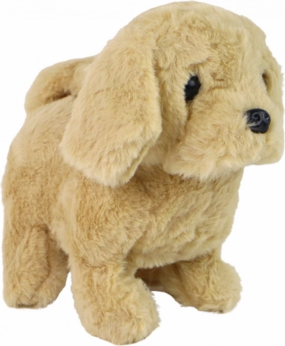 Giocattolo interattivo che cammina e abbaia, cagnolino beige