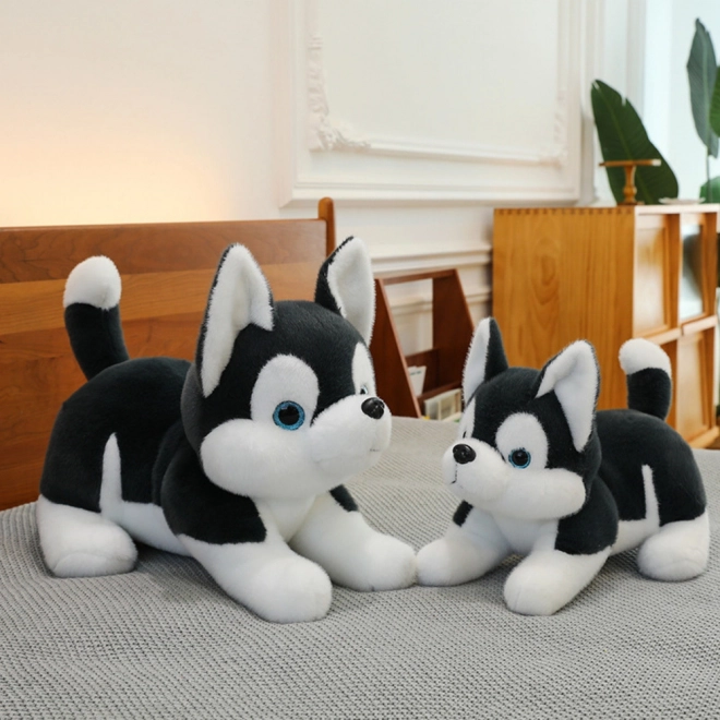 Giocattolo di peluche cane Husky bianco e nero 30cm