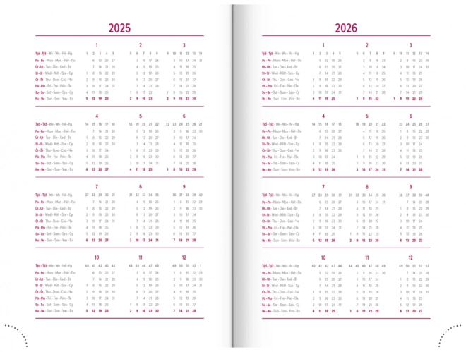 Agenda giornaliera Aprint Neo 2025 rosa 13 x 18 cm