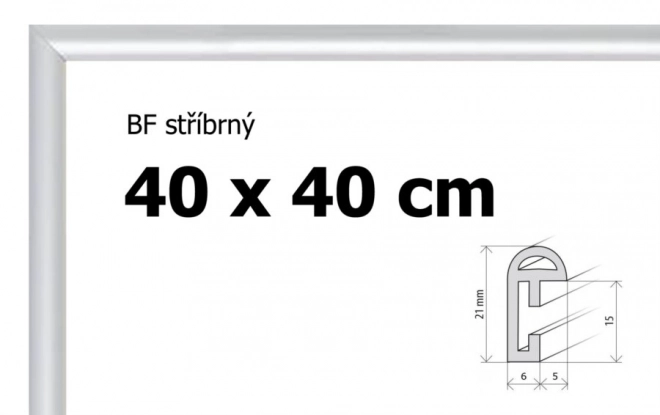 Cornice in plastica argento 40x40 cm