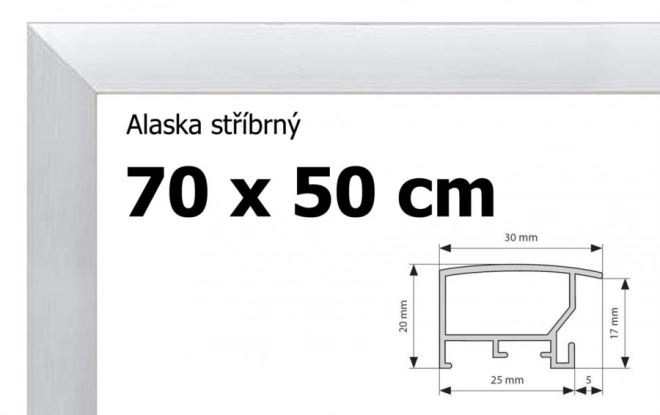 Cornice in alluminio argento per puzzle