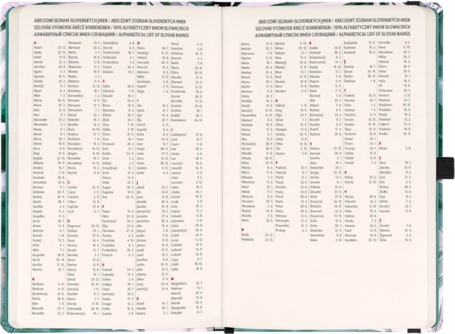 Diario settimanale Monstera 2025