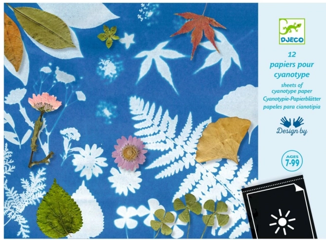 Set di carte fotosensibili DJECO