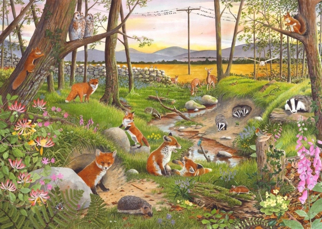 Puzzle Crepuscolo Estivo 250 pezzi