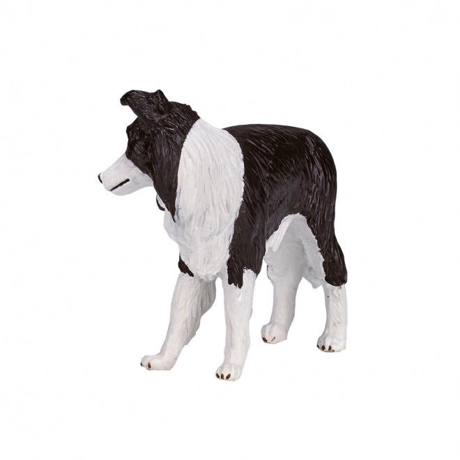 Figura realistica di Border Collie Mojo