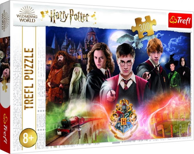 Puzzle 300 Pezzi Misterioso Harry Potter