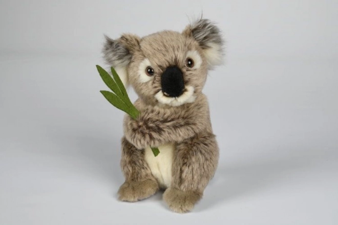 Koala Peluche 30 cm