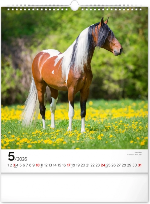Calendario da parete cavalli 2026