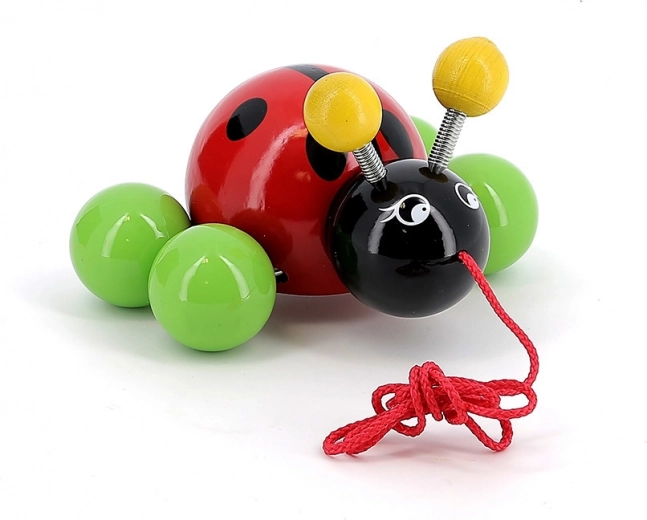 Struttura in legno laccato e levigato