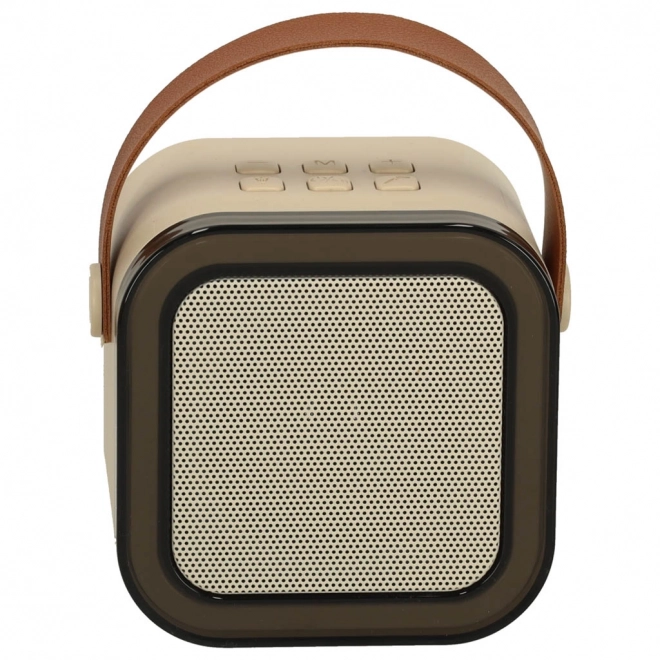 Set karaoke con due microfoni e altoparlante portatile Bluetooth LED beige