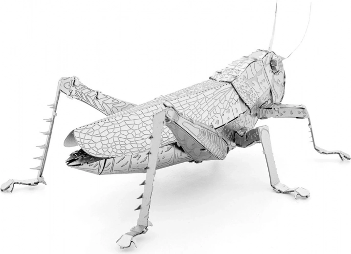 Pezzo da collezione in metallo da esporre