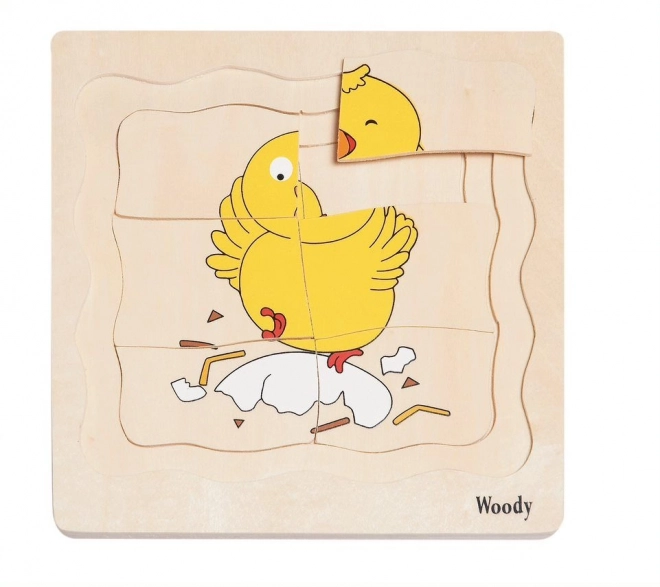 Puzzle a strati vita della gallina