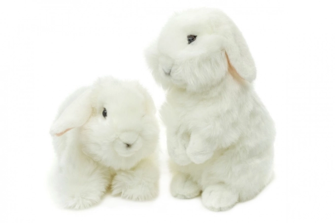 Coniglio di peluche bianco