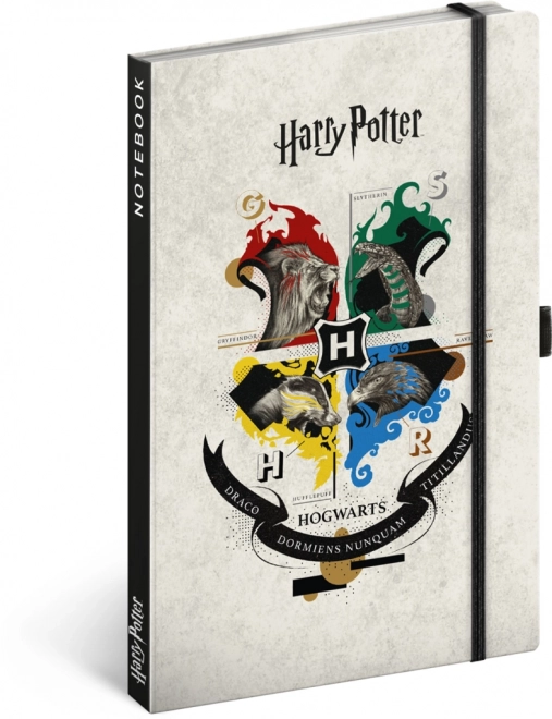 Notes Harry Potter con linee