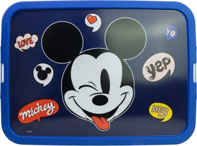 Scatola di stoccaggio con motivo di Topolino