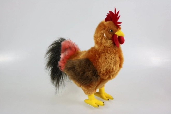 Gallo Di Peluche