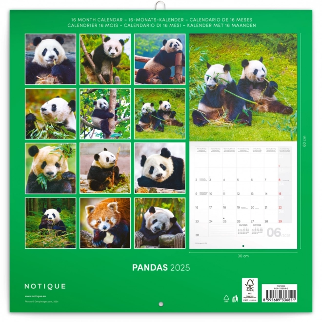 Calendario Panda da Parete 2025