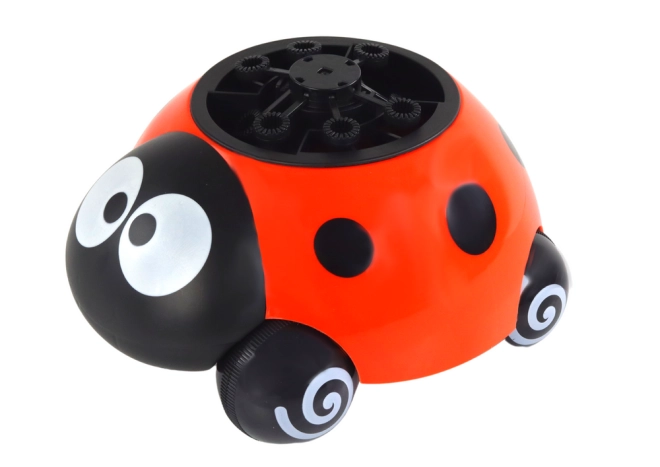 Coccinella illuminata
