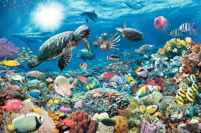 Incredibile rappresentazione del mondo sottomarino