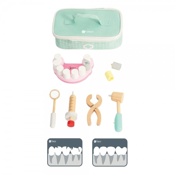 Set da dentista in legno 18 pezzi con borsa in tessuto