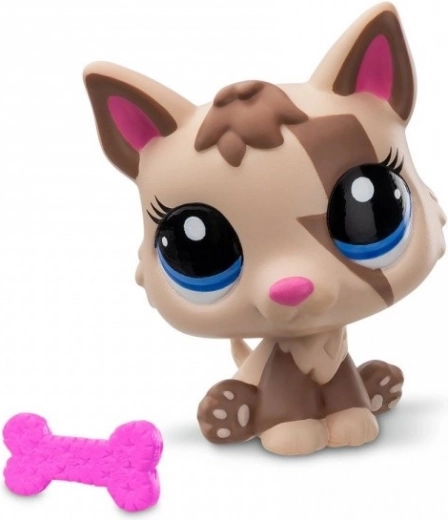 Accessorio e card da collezione inclusi