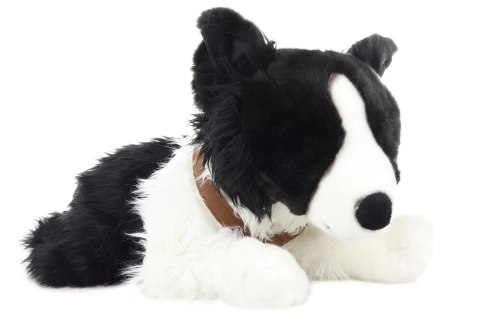 Cane di peluche Border Collie con imbracatura