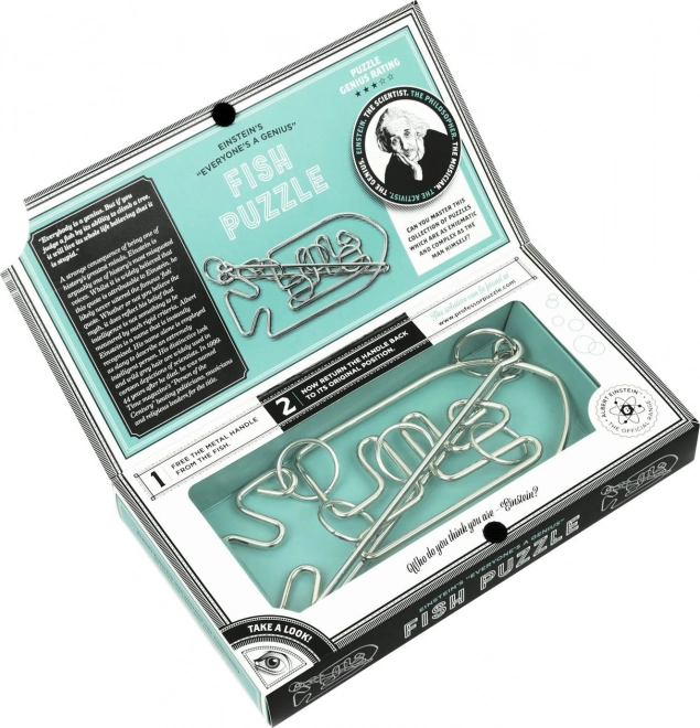 Professor Puzzle Rompicapo Albert Einstein Pesce