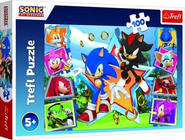 Puzzle 100 pezzi Scopri Sonic