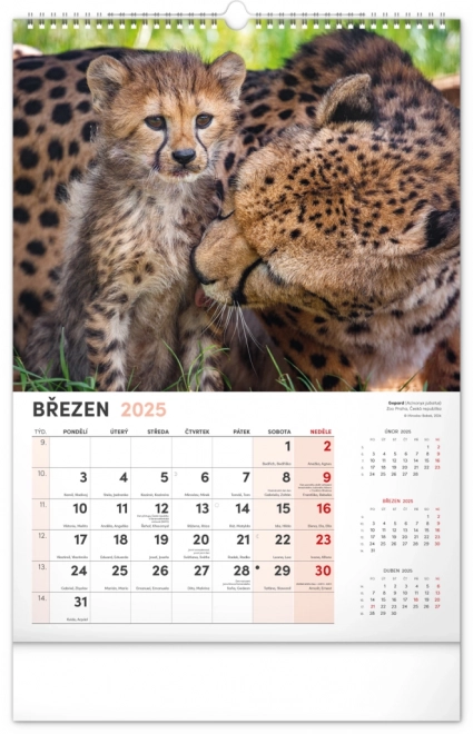 Notique calendario da parete animali affascinanti 2025