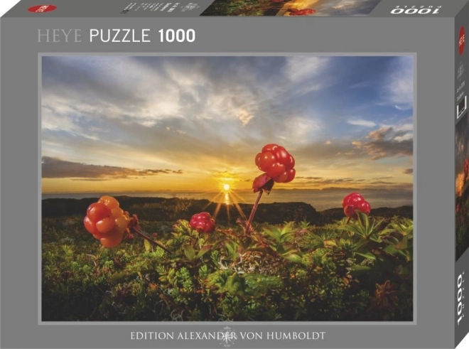 Puzzle Heye More e Ostruzze 1000 pezzi