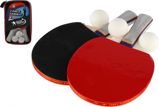 Set da ping pong: 2 racchette + 3 palline nella custodia